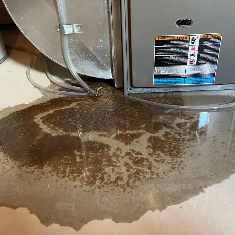Pipe Burst and Leak Restoration in Bristol Bay Borough, AK