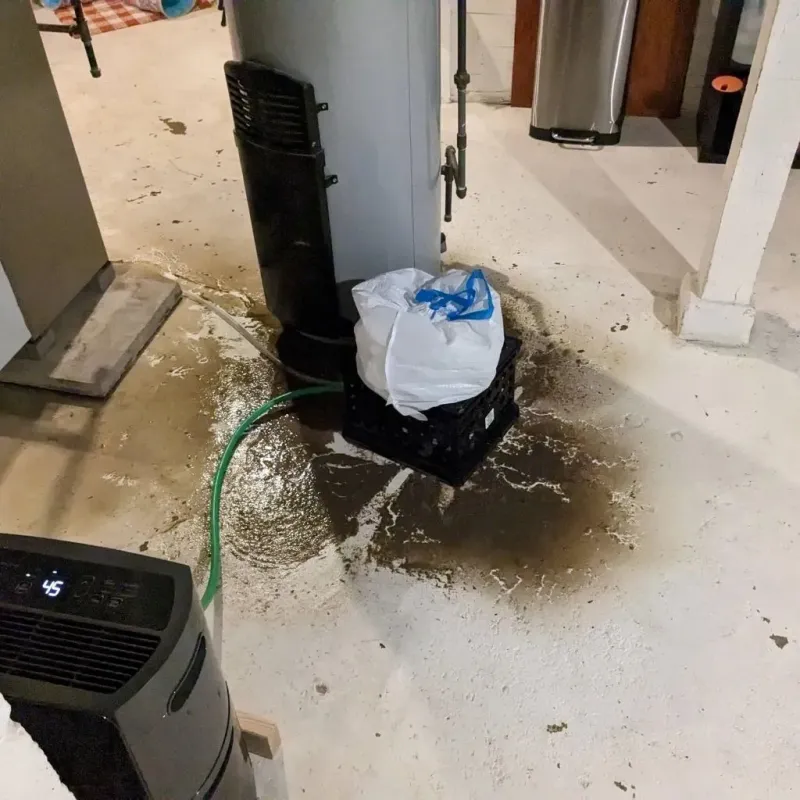 Sewage Backup Cleanup Service in Bristol Bay Borough, AK